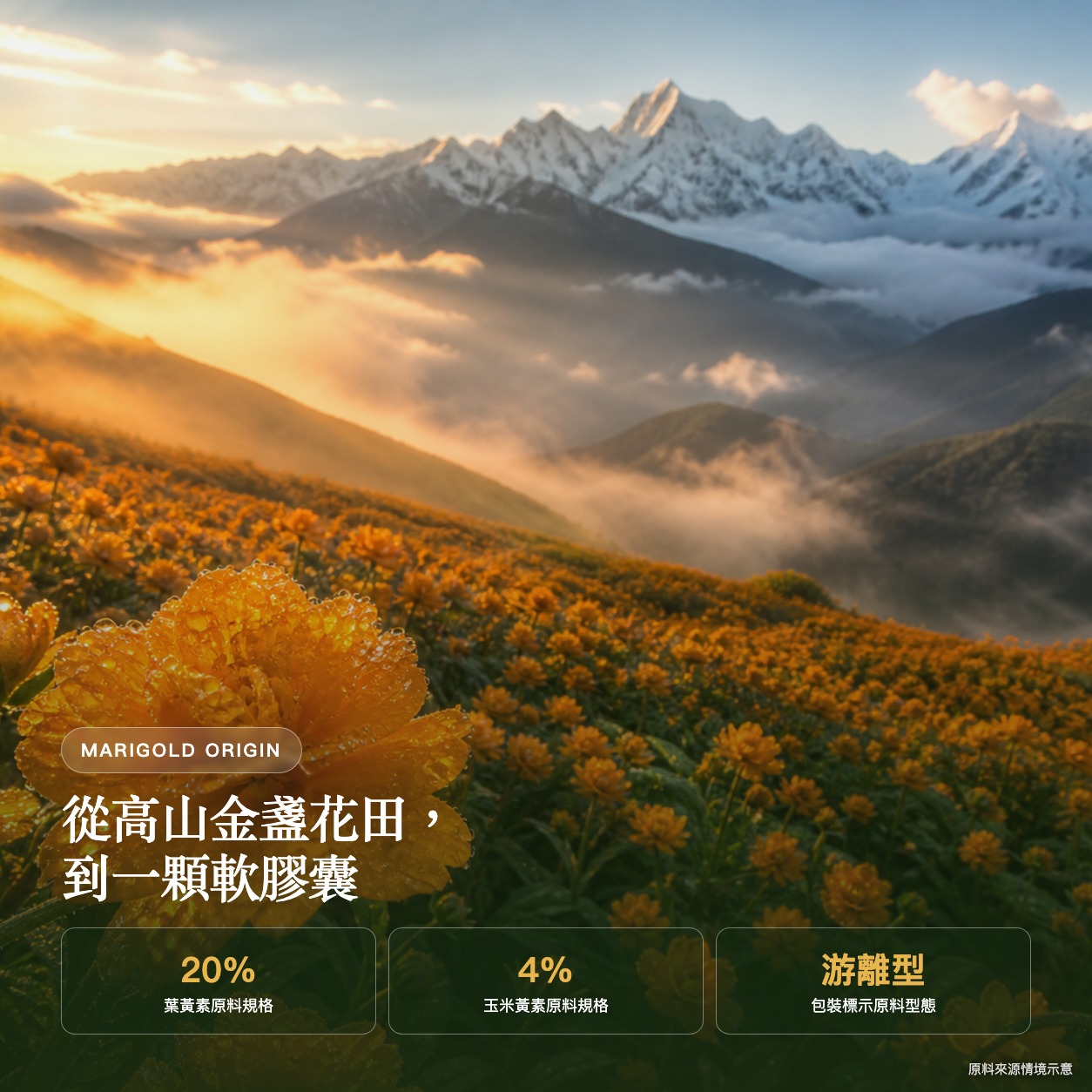 3C葉黃素｜三盒熱銷組｜建議售價 NT$ 3,600｜每盒 $1,200｜現省 $720