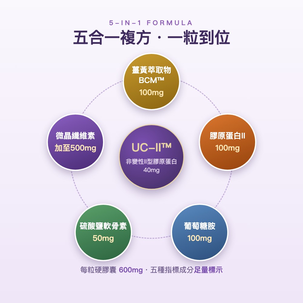 台記健股素【UC-II™非變性二型膠原蛋白＋薑黃素】