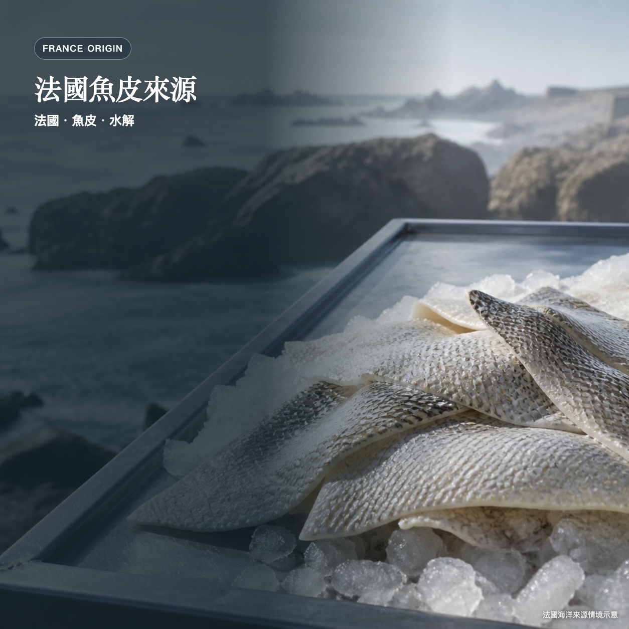 膠原水潤美美粉｜三包熱銷組｜建議售價 NT$ 5,520｜每盒 $1,840｜現省 $420