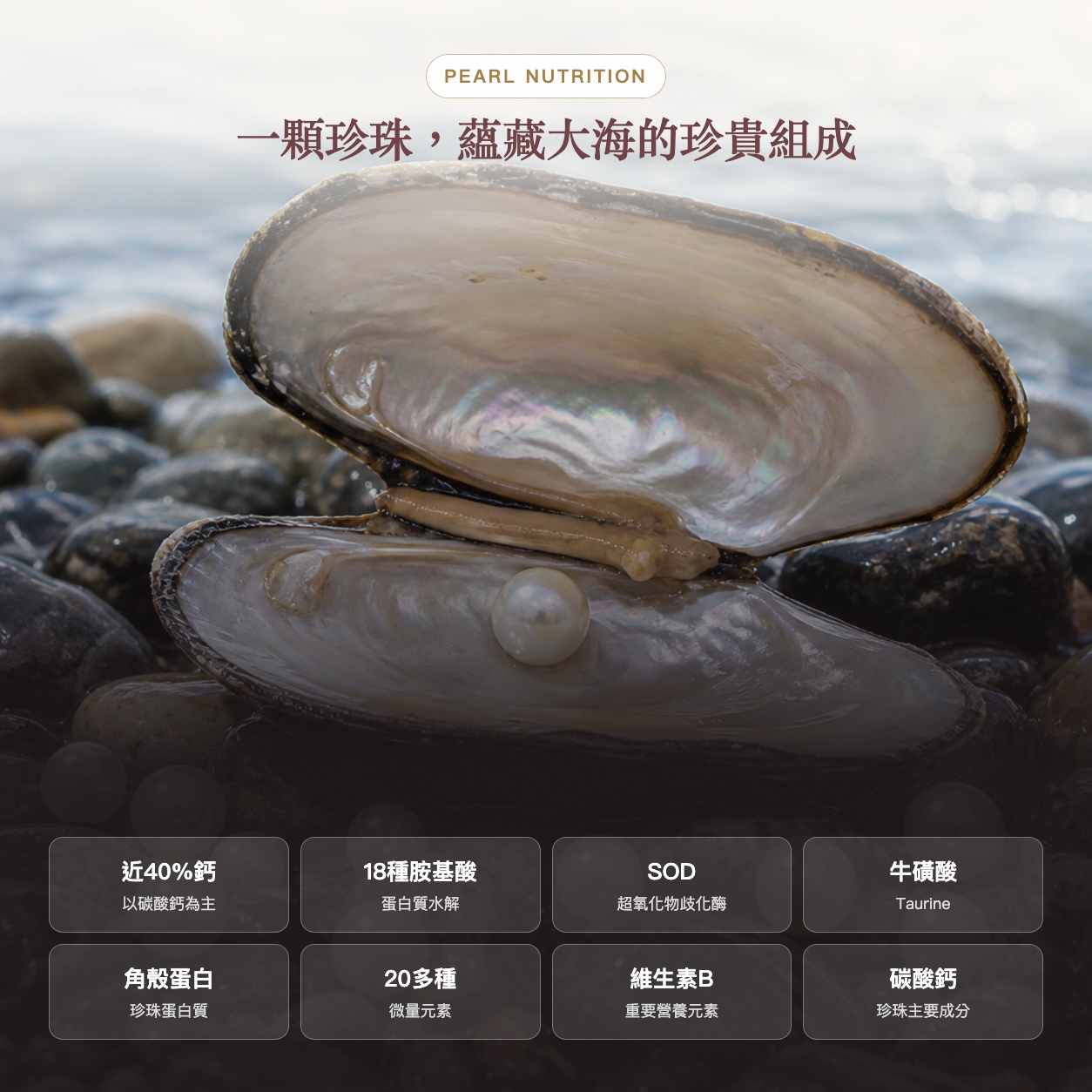 台記超微細珍珠粉【100%純淨珍珠粉・120顆】
