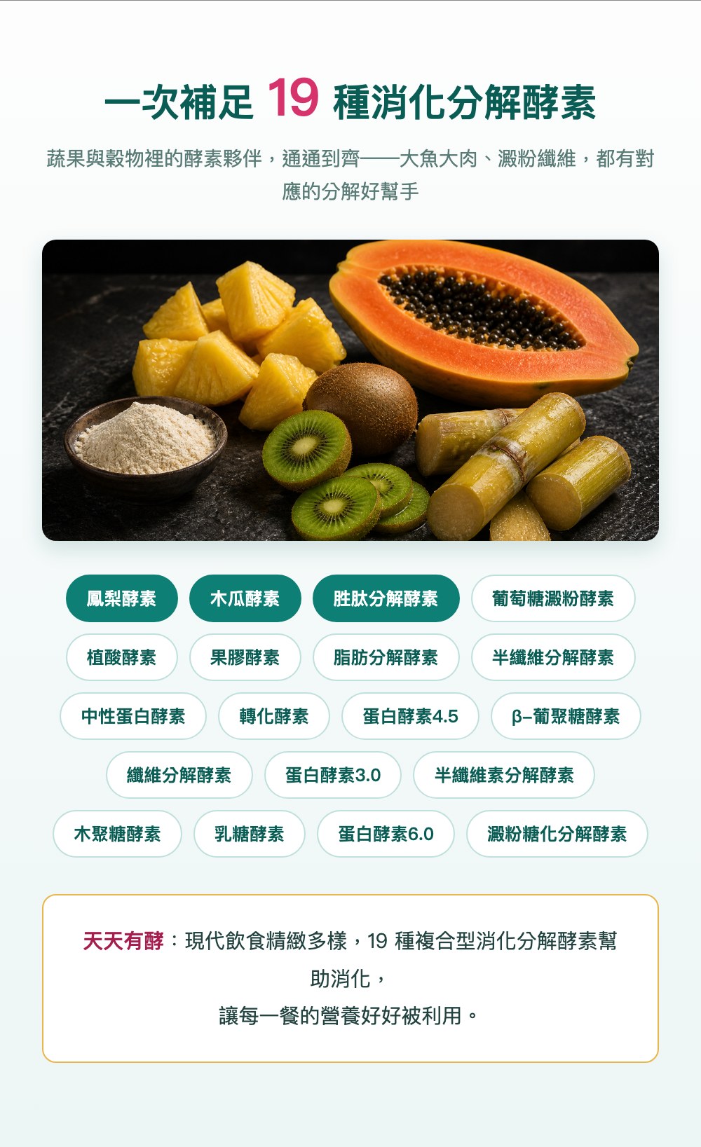 19種複合型消化分解酵素