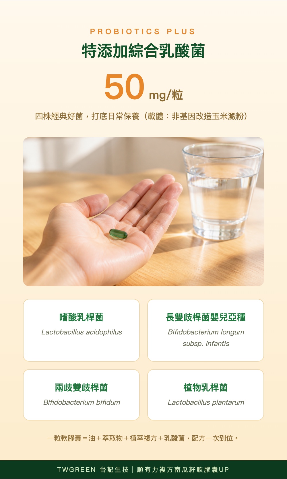 特添加綜合乳酸菌50mg