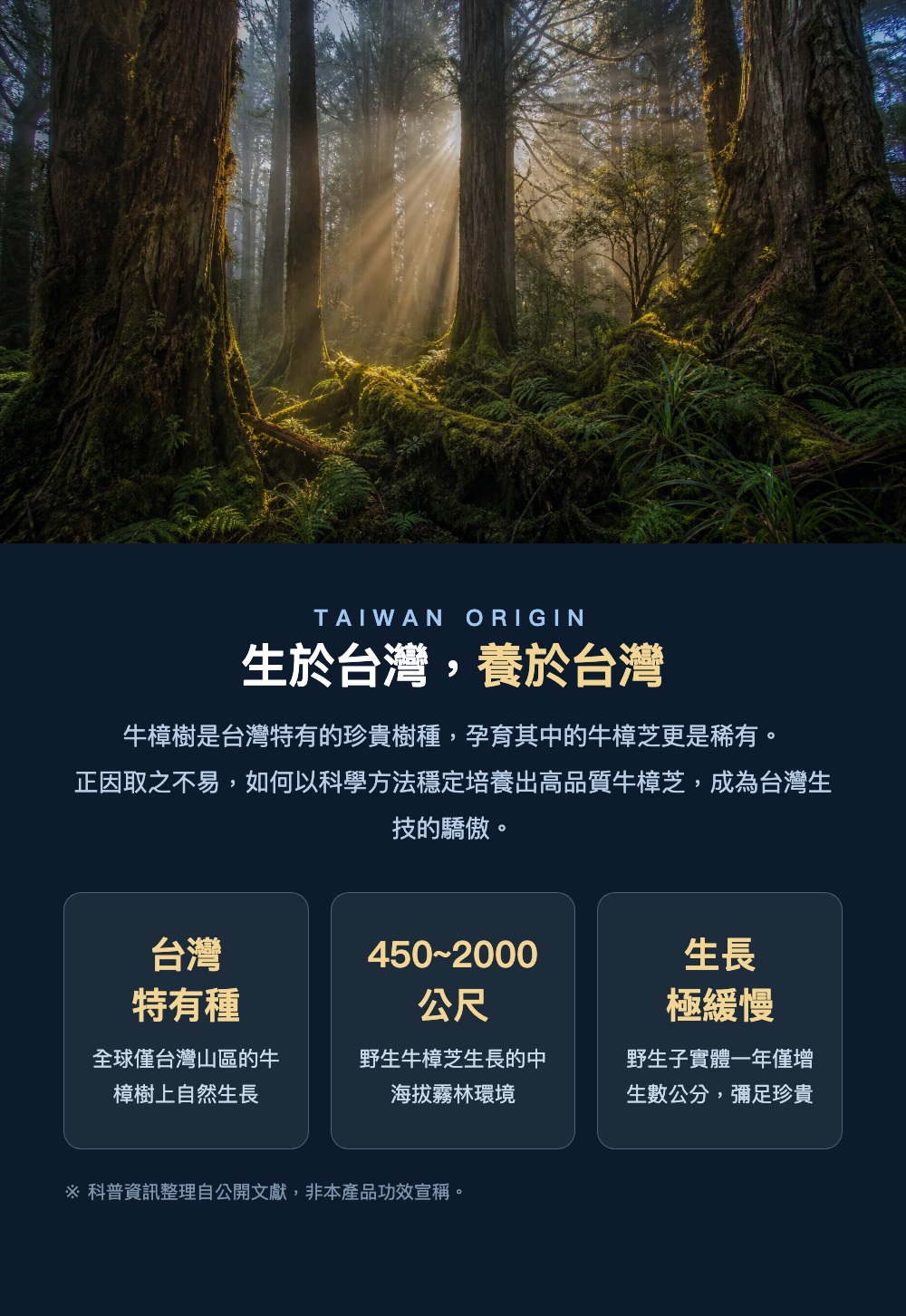 生於台灣養於台灣 牛樟芝科普