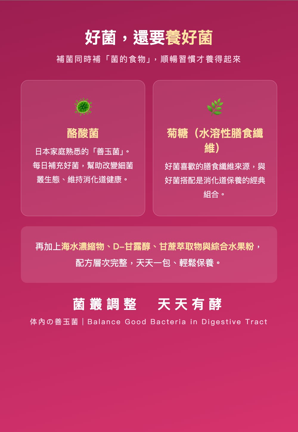 酪酸菌與菊糖膳食纖維