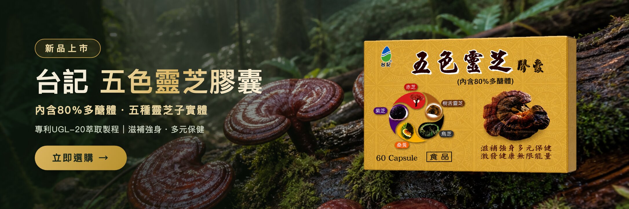 五色靈芝新品上市