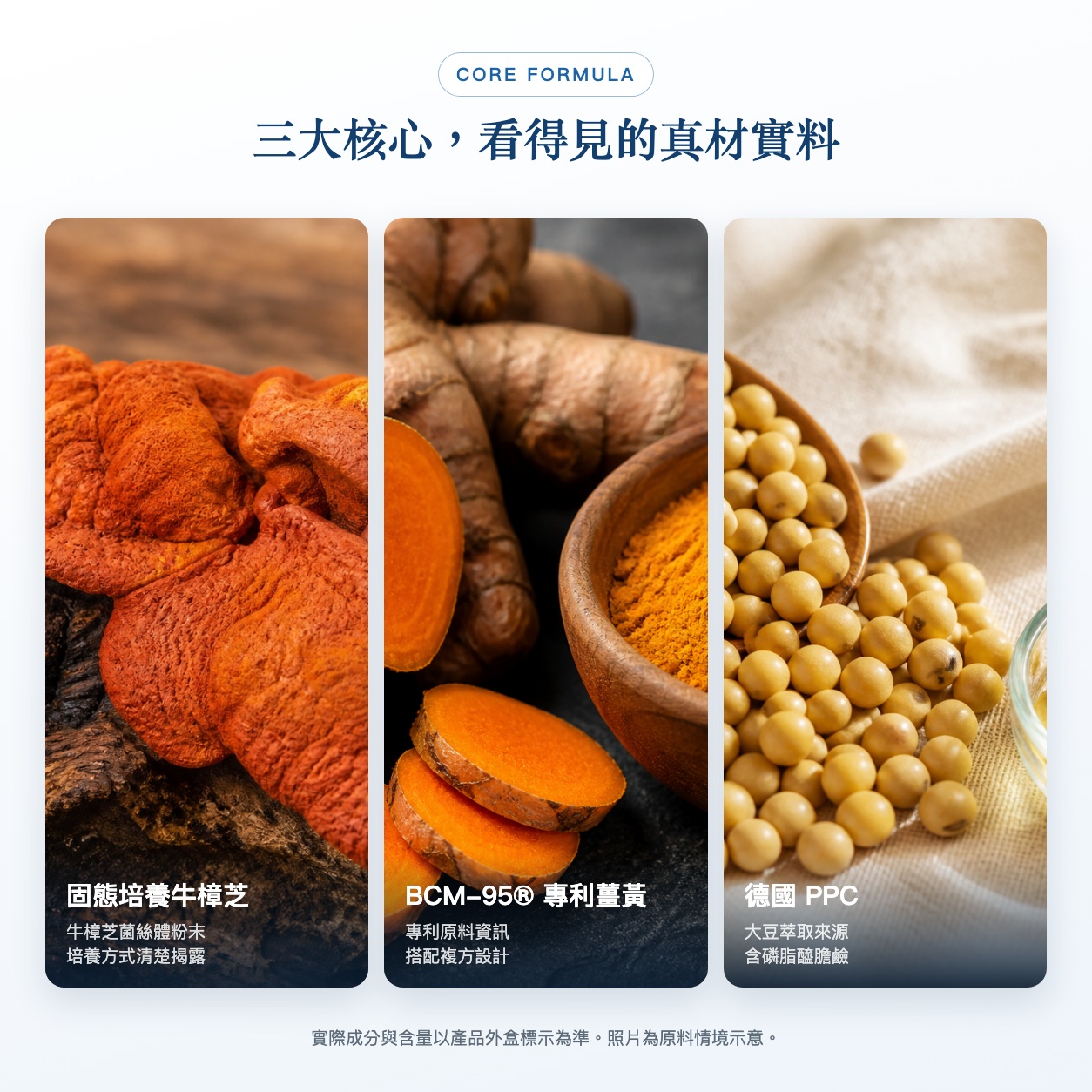 👑 牛樟芝康護健｜12盒VIP年度組｜年中慶會員價 NT$ 19,800｜每盒 $1,650｜現省 $7,560
