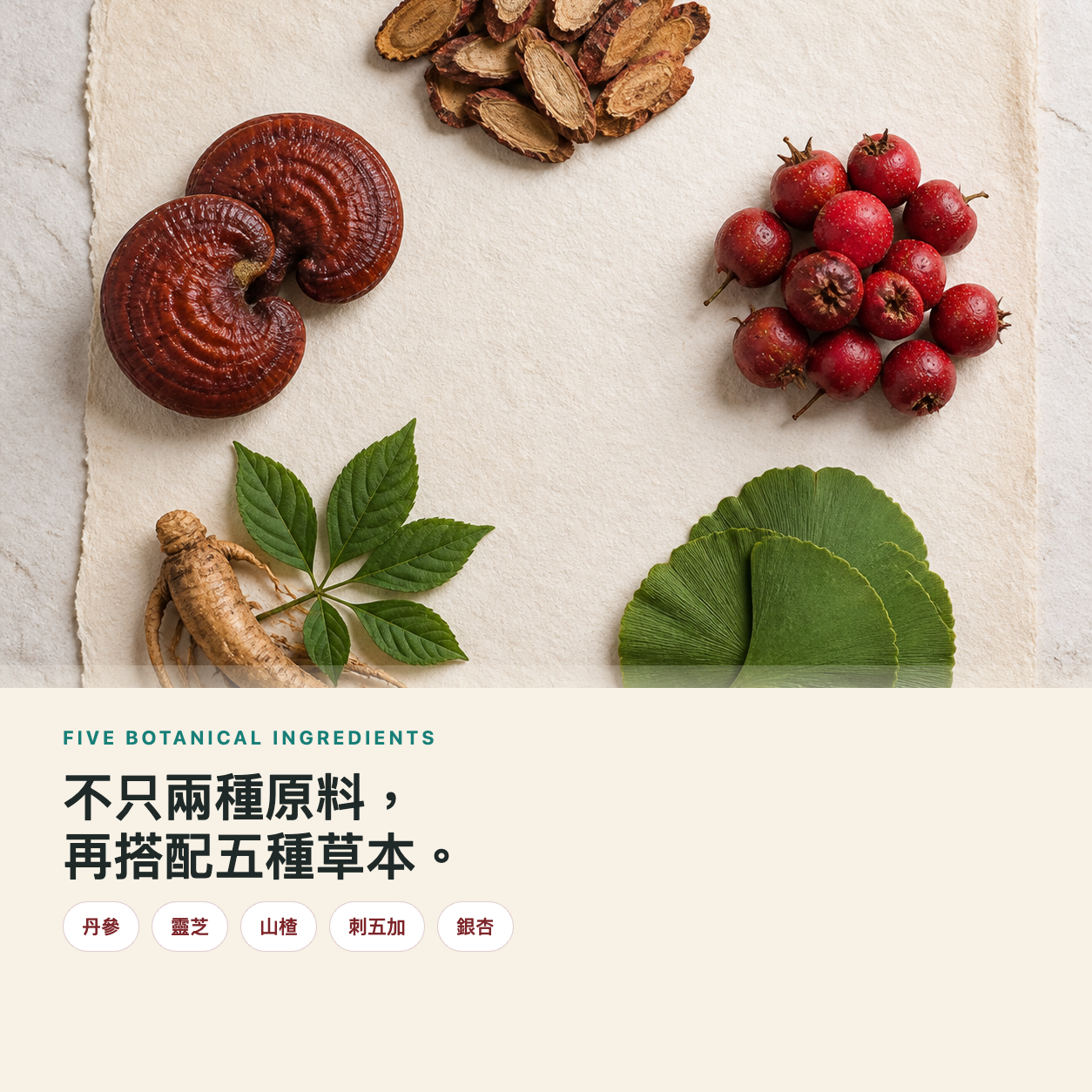 👑 台記 7,800 FU 納豆紅麴五草複方｜12盒年度組｜NT$ 12,000｜約360天份