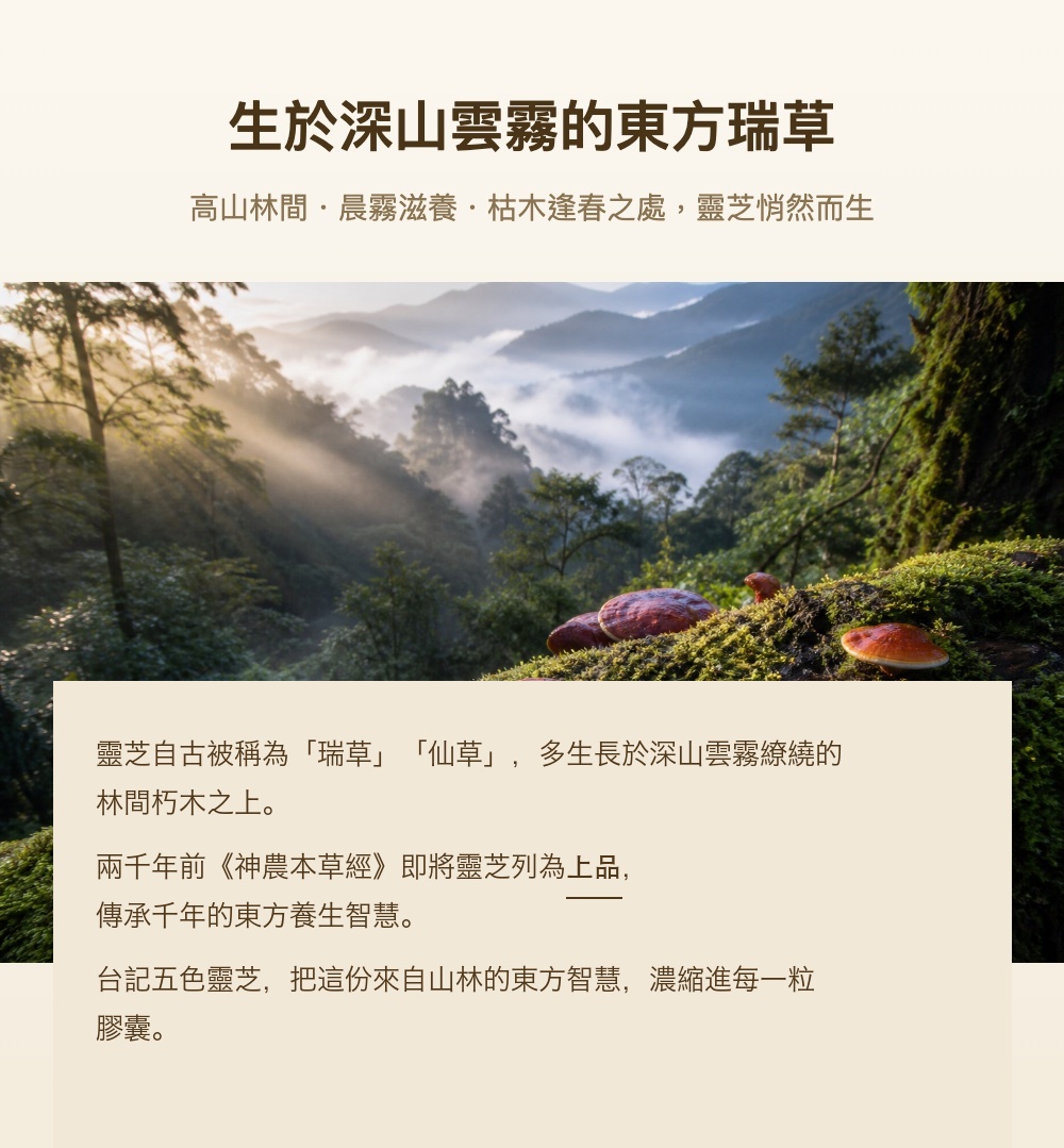 生於深山雲霧的東方瑞草