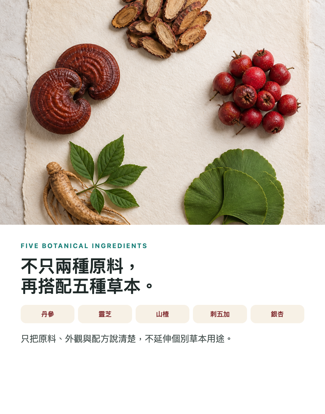 丹參、靈芝、山楂、刺五加、銀杏五種草本