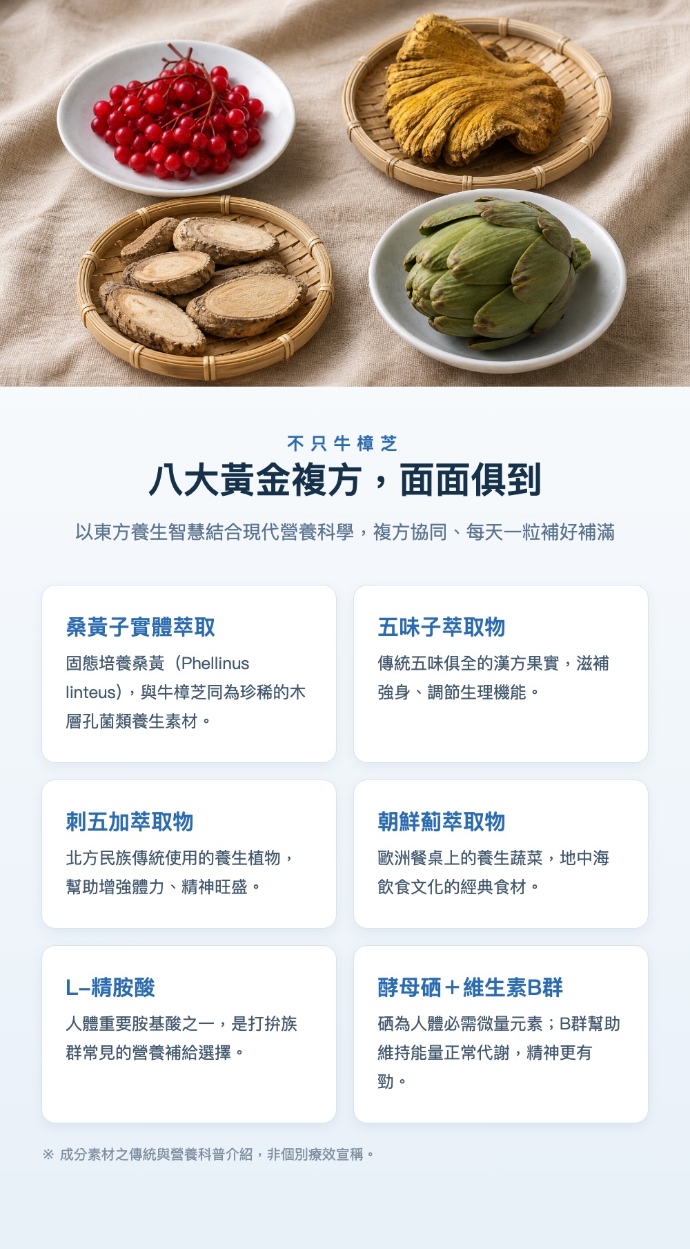 八大黃金複方 桑黃五味子刺五加朝鮮薊