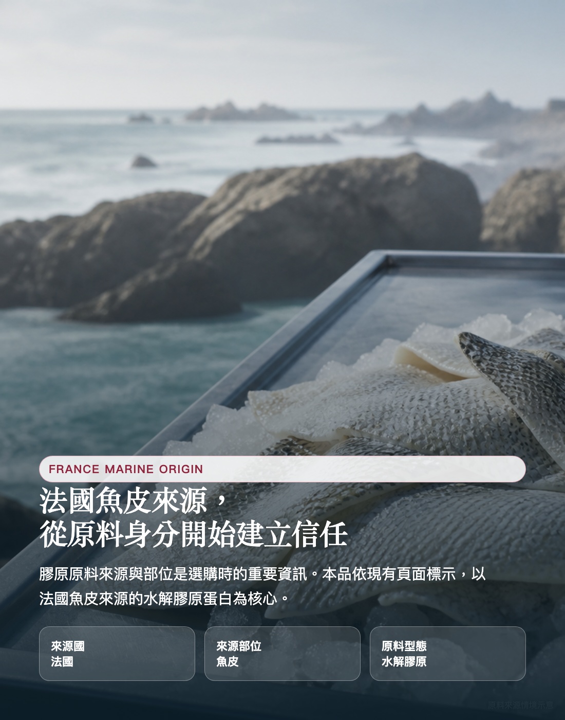 19種胺基酸組成公開