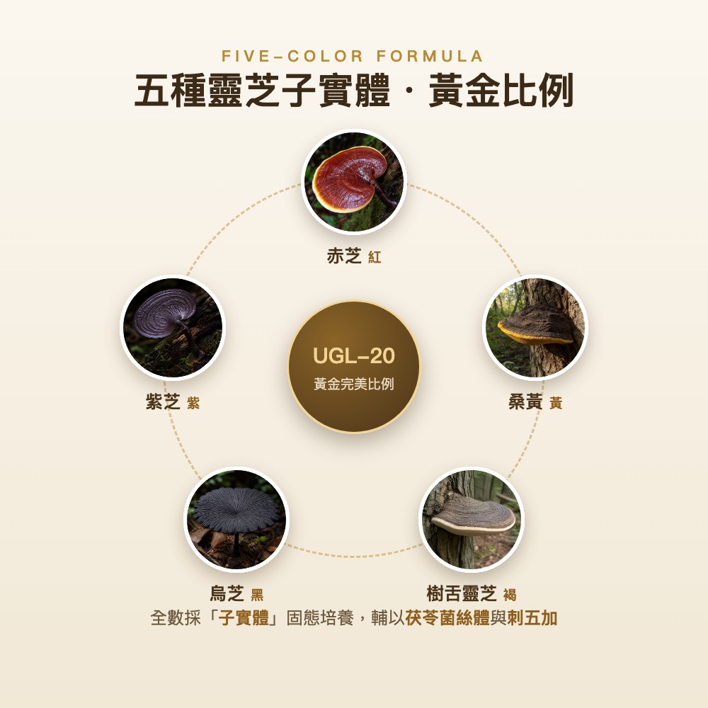 台記極品靈芝體驗價